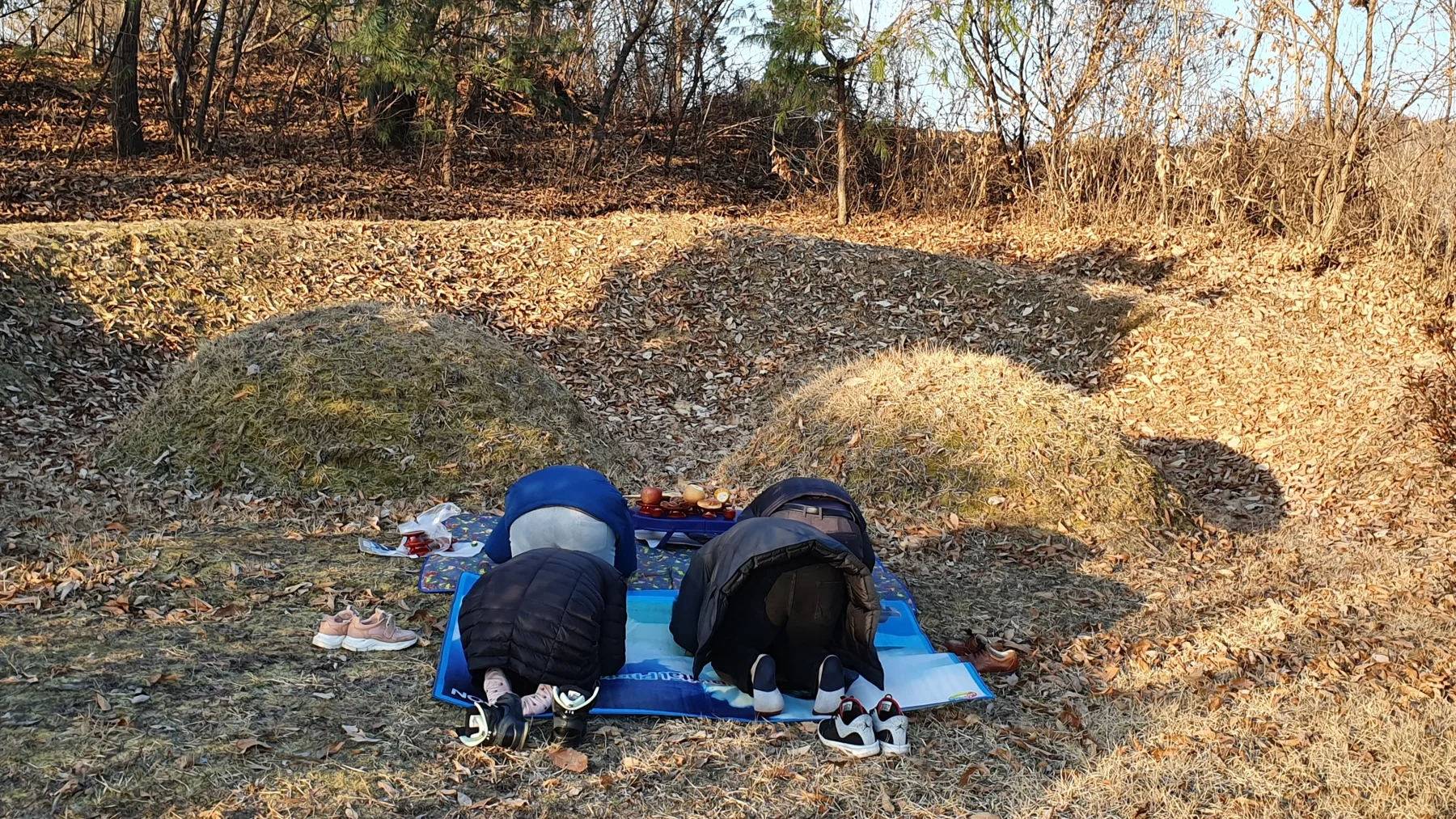 이장 작업 전 가족이 묘제를 드리는 모습